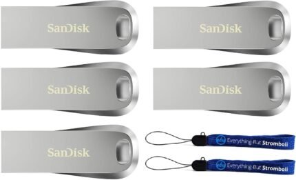 SanDisk Ultra Luxe 32GB USB 3.1 Flash Drive (Bulk 5 Pack) Works with Computer, Laptop, 150MB/s 32 GB PenDrive High Speed All Metal (SDCZ74-032G-G46) Bundle with (2) Everything But Stromboli Lanyards